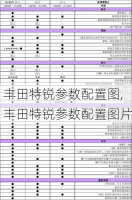 丰田特锐参数配置图,丰田特锐参数配置图片