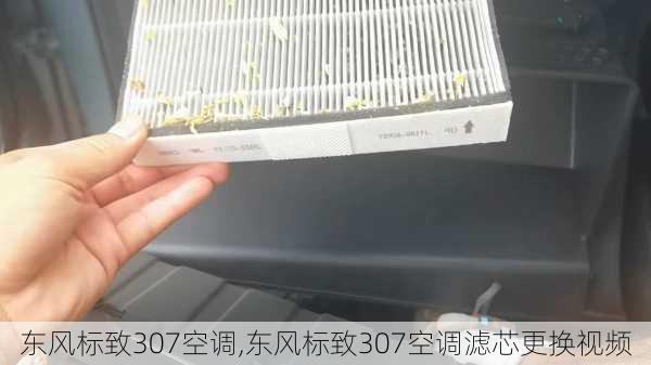 东风标致307空调,东风标致307空调滤芯更换视频