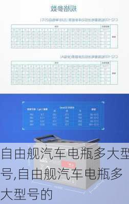 自由舰汽车电瓶多大型号,自由舰汽车电瓶多大型号的