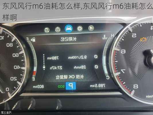 东风风行m6油耗怎么样,东风风行m6油耗怎么样啊