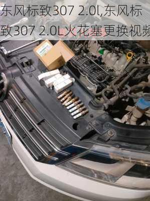 东风标致307 2.0l,东风标致307 2.0L火花塞更换视频