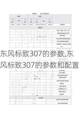 东风标致307的参数,东风标致307的参数和配置