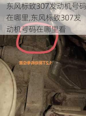 东风标致307发动机号码在哪里,东风标致307发动机号码在哪里看