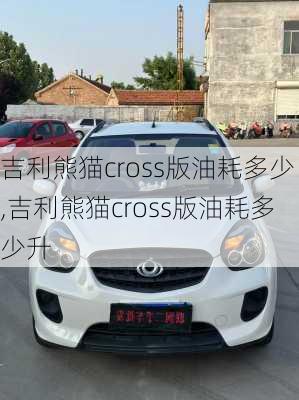 吉利熊猫cross版油耗多少,吉利熊猫cross版油耗多少升