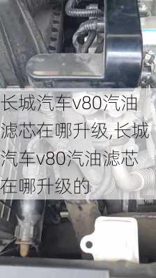 长城汽车v80汽油滤芯在哪升级,长城汽车v80汽油滤芯在哪升级的